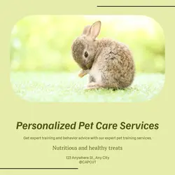 Pet industry Effect Display