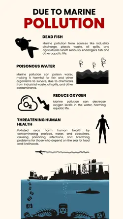Non-marketing Infographics Pollution