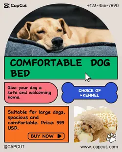 Pet kennel Product display Cute