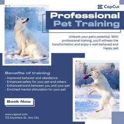 Pet Training Service Instagram Post