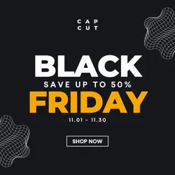Black Friday Sale