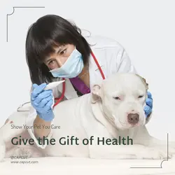 Pet industry Gift