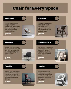 Household Chair Product Display