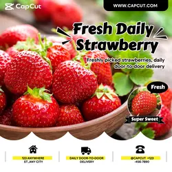 Foods & Beverage  Strawberry Branding Minimalist