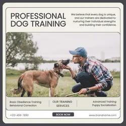 Pet Services Professional Dog Training Training Product Display Instagram Post