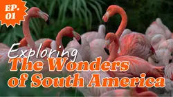 Wonders of Travel Youtube Thumbnail