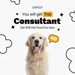 Soft Grey Promo Free Consultant Instagram Post