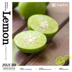 Foods & Beverage Lemon Branding Minimalist