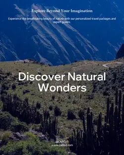 Travel industry General