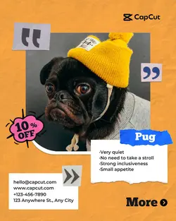Pet dog Display Collage Style