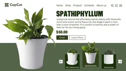 household plant hous product display introduction