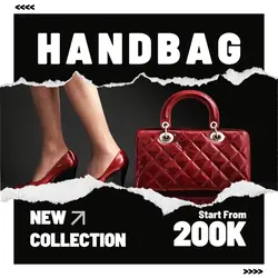 Fashion Industry HandBag Promotion