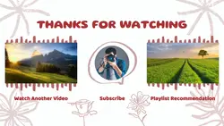 Non-Marketing Youtube Endscreen - Red Plant