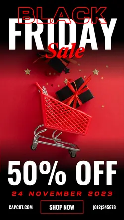 Black Friday Sale Promotion TikTok