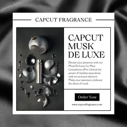 Men Perfume Promotion for Instagram Post