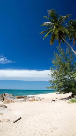 General wallpaper - Creative Poster Marketing Poster Instagram story Beach/sea