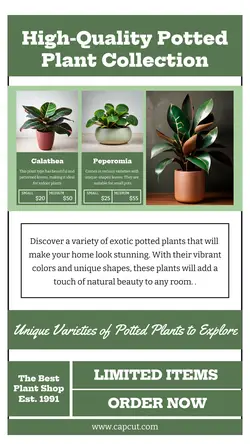 Household Accessories Product Display Pottet Plant Instagram Story