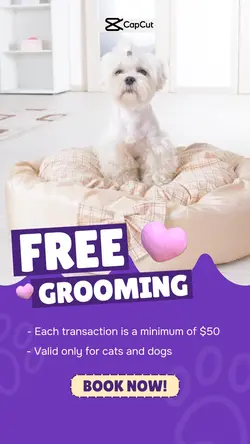 Pet Shop Grooming Promotion Business 