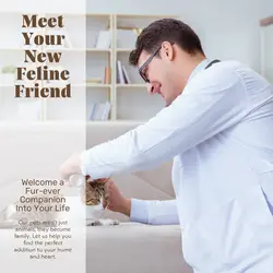 Pet industry Personal introduction