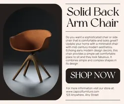 Furniture Arm Chair Display Facebook Post
