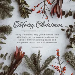 Merry Christmas Instagram Post