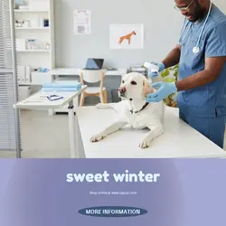 Services Sales Promotion