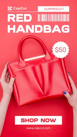 Red Handbag Promotion Instagram Story