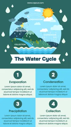 The Water Cycle Infographic
