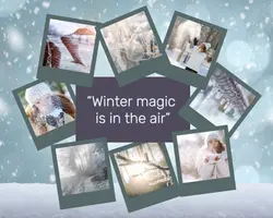 Non-Marketing Photo Collage Winter Magic
