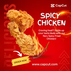 Food Spicy Fried Chicken Product Display Red