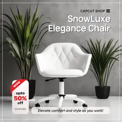 E-Commerce Household Office Chair Product Display Elegant