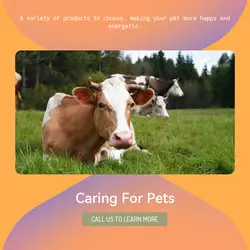 Pet industry Product Display