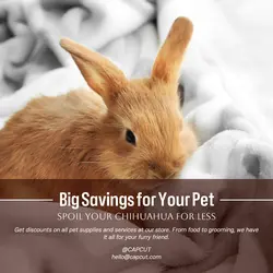 Pet industry Discount