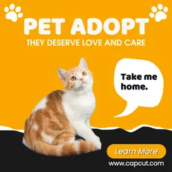 Pet Adopt - Instagram Post