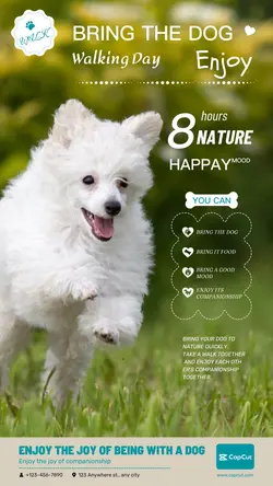 Pet Bring the dog Display Cute