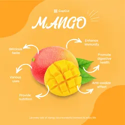 Food Mango Display E-commerce