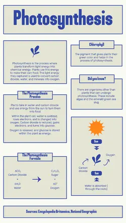 Non-marketing Photosynthesis Biology Blue Minimalist