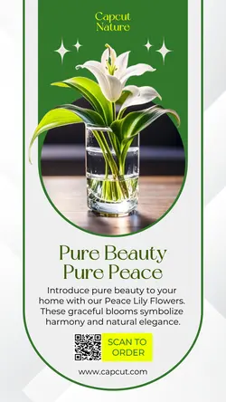 Household Accessories Indoor Plant Peace Lily