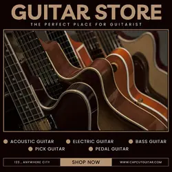 Other industries Entertainment Guitar Store