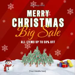 Christmas Big Sale