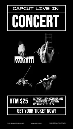 Live Concert Poster for Instagram Story