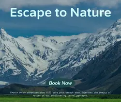 Travel industry General