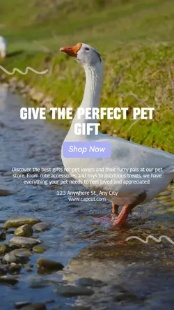 Pet industry Gift