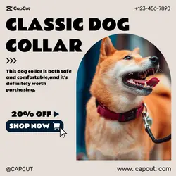 Pet Collar Discount Minimalist