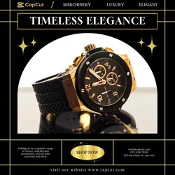 Jewelry Watch Display Luxury