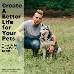 Pet industry Social Cards