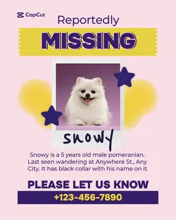 Pet Missing Poster