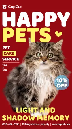 Pet Cat service  Description business