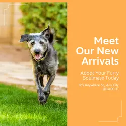 Pet industry New arrivals