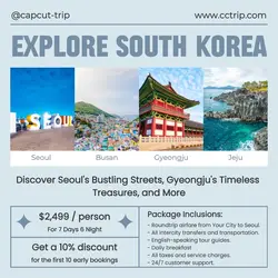 Trip Seoul Travel Industry Instagram Post